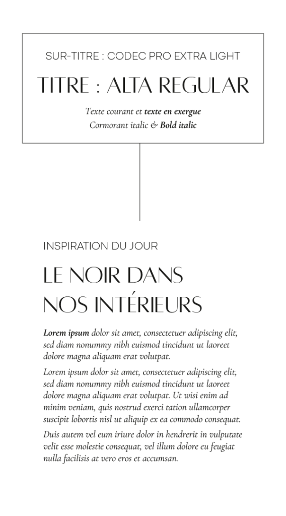 graphiste, web designer, photographe : typo décoratrice d'intérieur