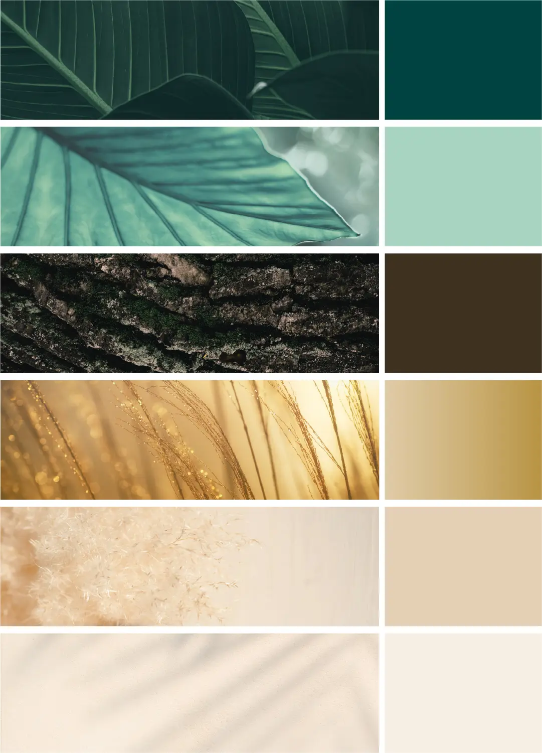 palette de couleur - graphiste designer de marque